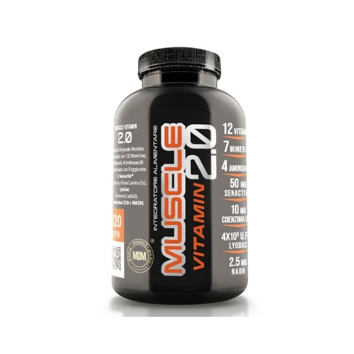 NET Muscle Vitamin 2.0 - Multivitaminico ad alto dosaggio per sportivi