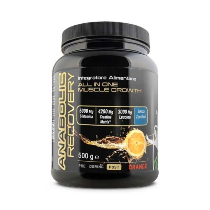 Net Integratori Anabolic Recovery 500 G - gusto Orange